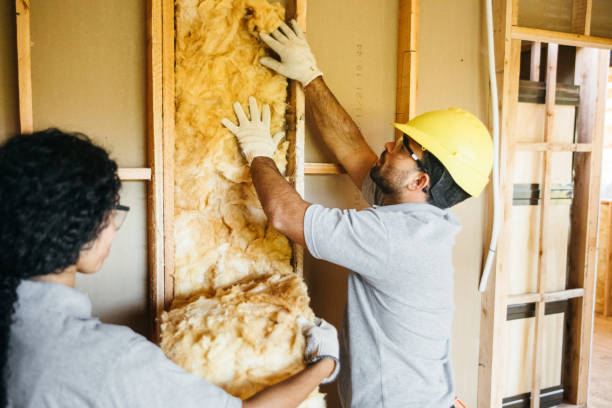 Best Attic Insulation Installation  in North Brooksville, FL